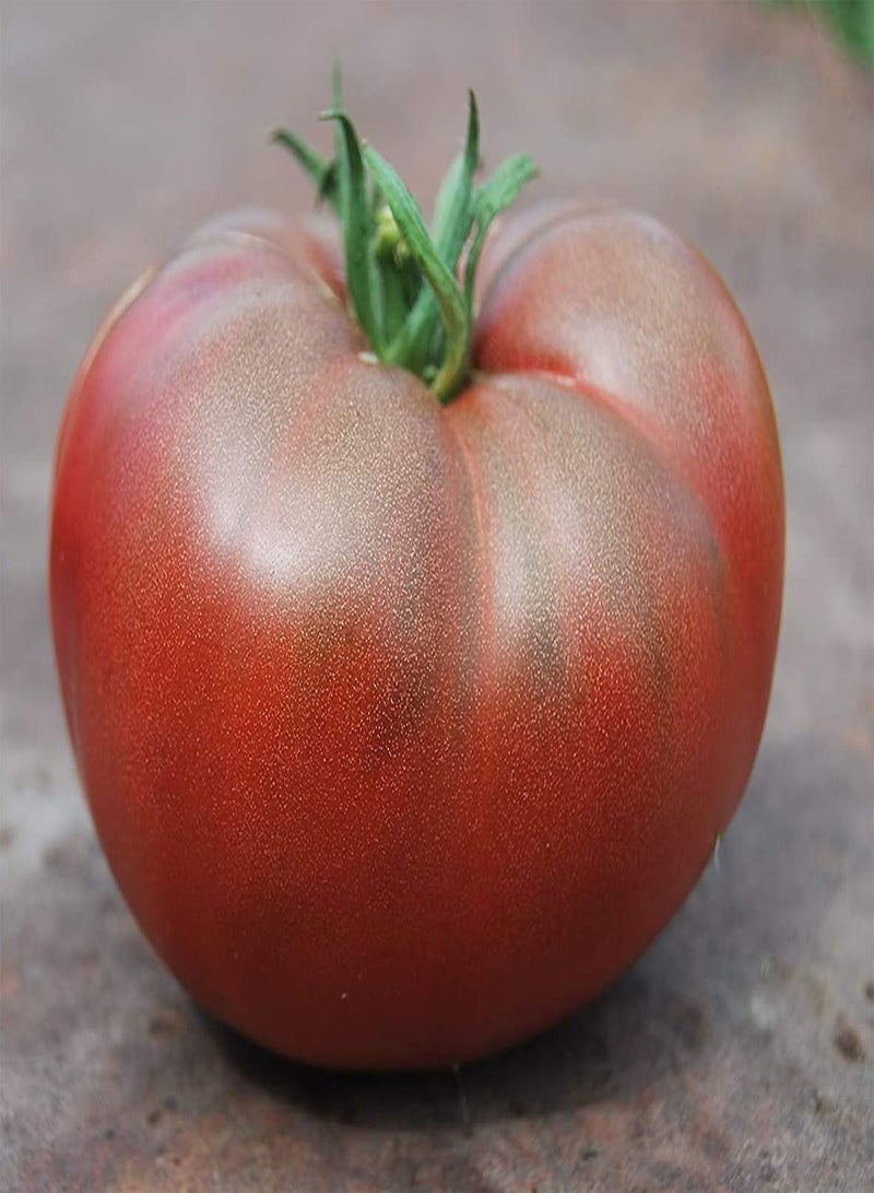 GGOOT 200Stück Tomatensamen Outdoor Gemüse Zum Pflanzen von essentiellem ausgewähltem frischem Duft Gärtnerliebling Schnell wachsend Weit verbreitet auf der ganzen Welt - Image 3