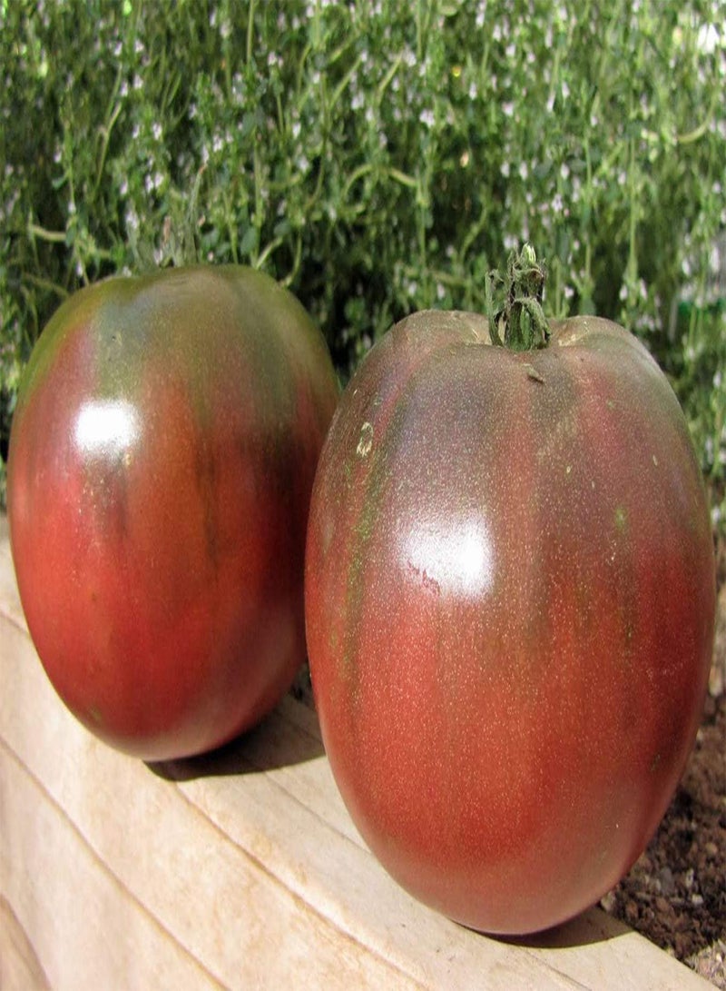 GGOOT 200Stück Tomatensamen Outdoor Gemüse Zum Pflanzen von essentiellem ausgewähltem frischem Duft Gärtnerliebling Schnell wachsend Weit verbreitet auf der ganzen Welt - Image 2