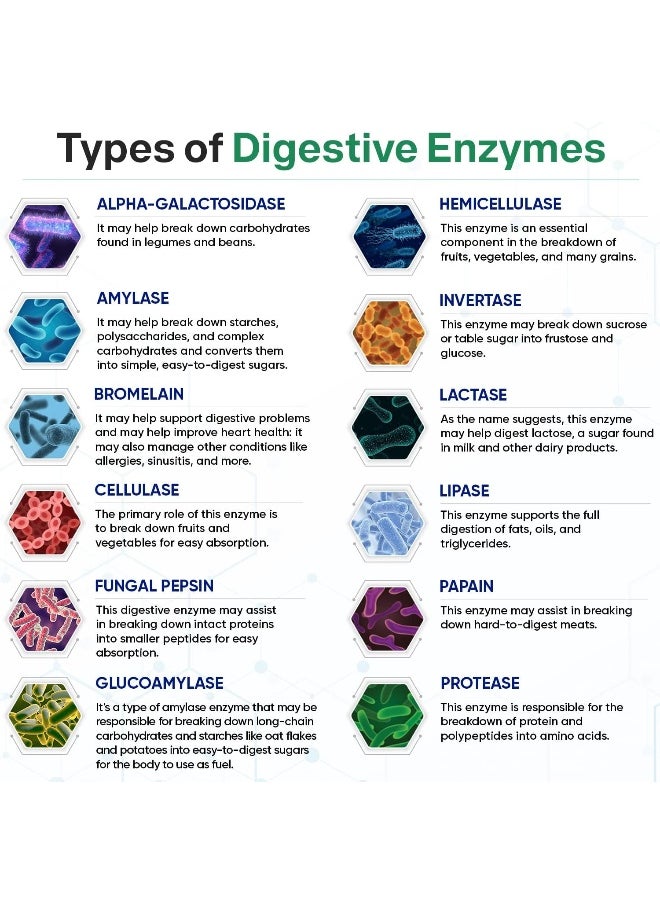 Wholesome Wellness Wholesome Wellness Digestive Enzymes (1000mg, 180 Capsules)  - Image 5