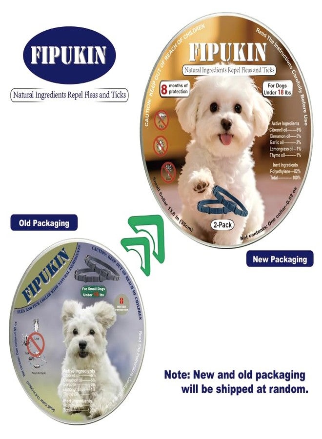 FIPUKIN Flea and Tick Collar for Small Dogs, 2‑Pack | 8‑Month Waterproof Protection with Natural Essential Oils | Includes Comb - Image 2