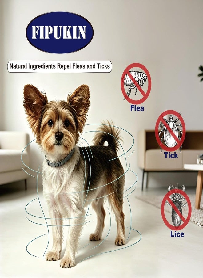 FIPUKIN Flea and Tick Collar for Small Dogs, 2‑Pack | 8‑Month Waterproof Protection with Natural Essential Oils | Includes Comb - Image 4