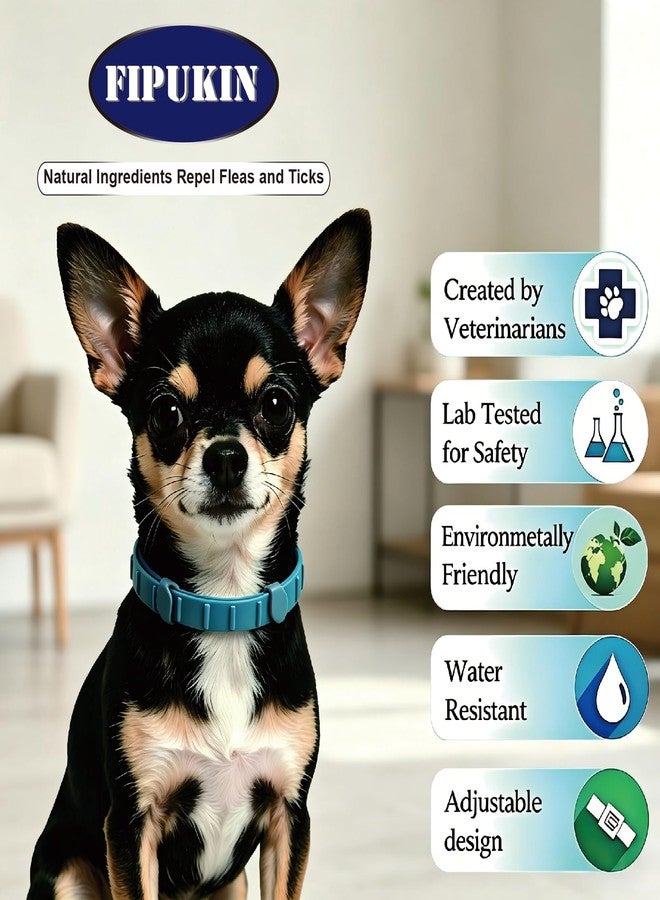 FIPUKIN Flea and Tick Collar for Small Dogs, 2‑Pack | 8‑Month Waterproof Protection with Natural Essential Oils | Includes Comb - Image 3