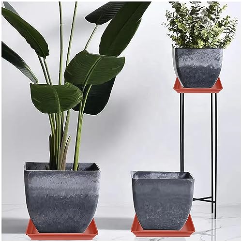 LWALRS 5 Pack Square Plant Saucer, Plastic Plant Water Dray Tray 6 Inch, Heavy Plant Trays for Pots, Planters for for Pots Base Indoors and Outdoors Plants.(6 inch, Terracotta - Image 4