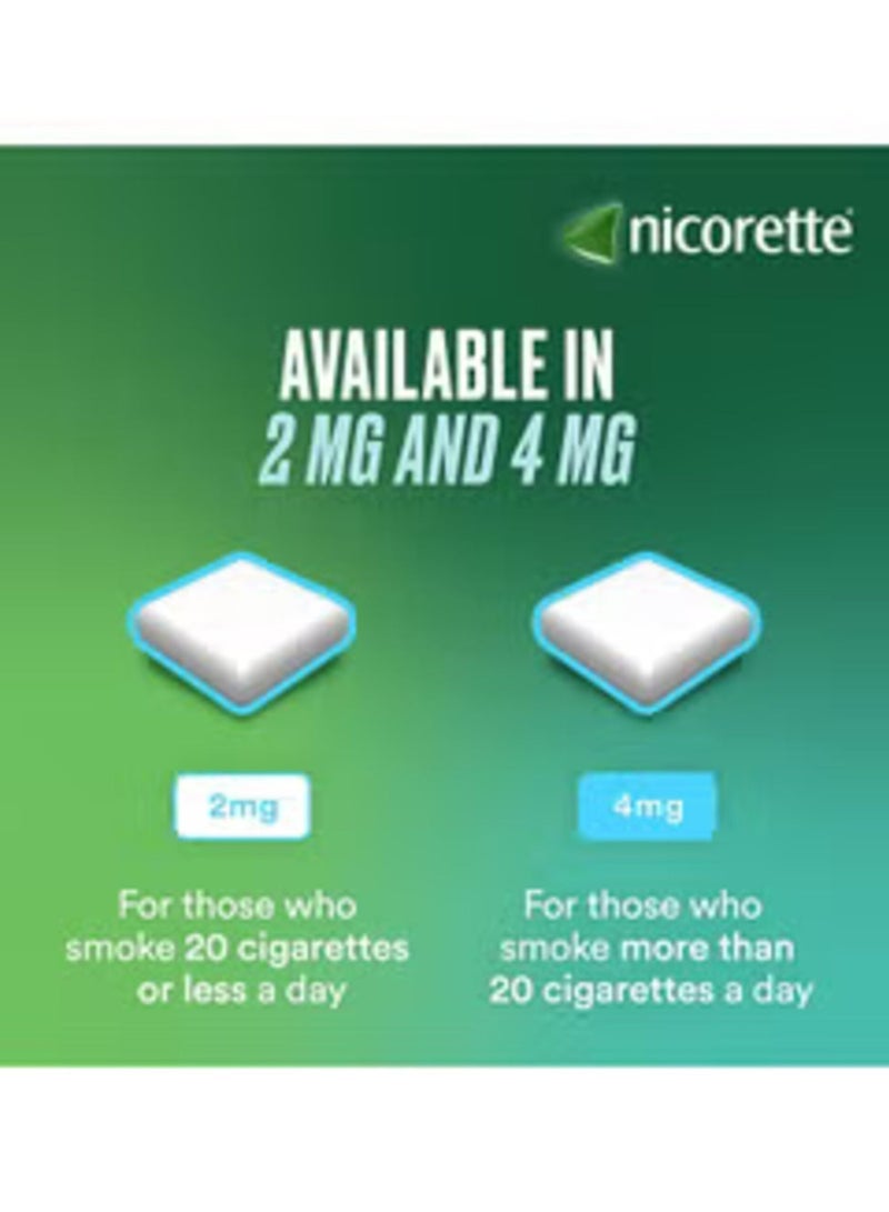 نيكوريت علكة بنكهة النعناع المنعشة 4 مج 210 قطعة - Image 2