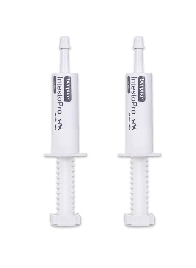 Intestopro Anti Diarrhea Paste Syringe Large Dog - 2 X 20ml
