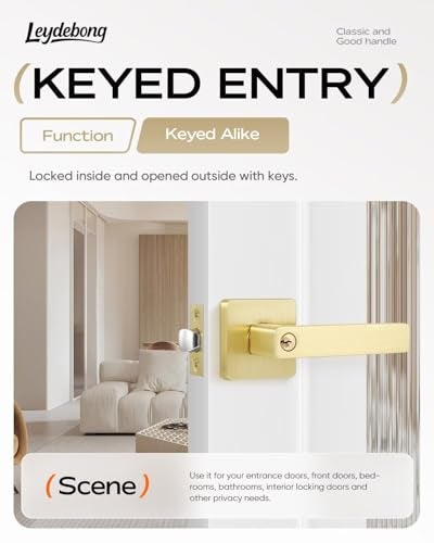 Leydebong 2 Pack Heavy Duty Entrance Lever Door Handle (for Office/Front Door) Left or Right Handing, Flat Style Keyed Alike/Combo Keys Heavy Duty Leversets, Light Satin Brass Finish - Image 2