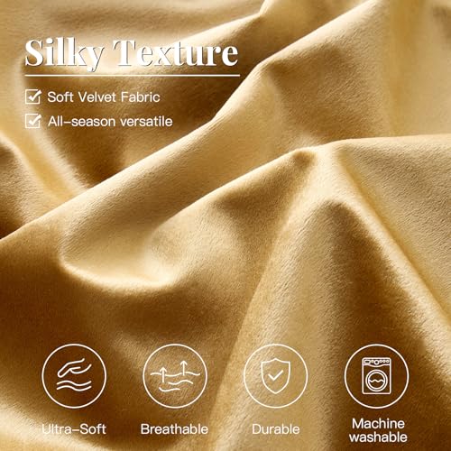 MUSSEL Bedding Comforter Set Queen Size 3 Pieces-Luxury Shiny Gold Striped Lightweight Bedroom Comforter Queen Size,Soft Velvet Bed Set with 2 Shams - Image 5