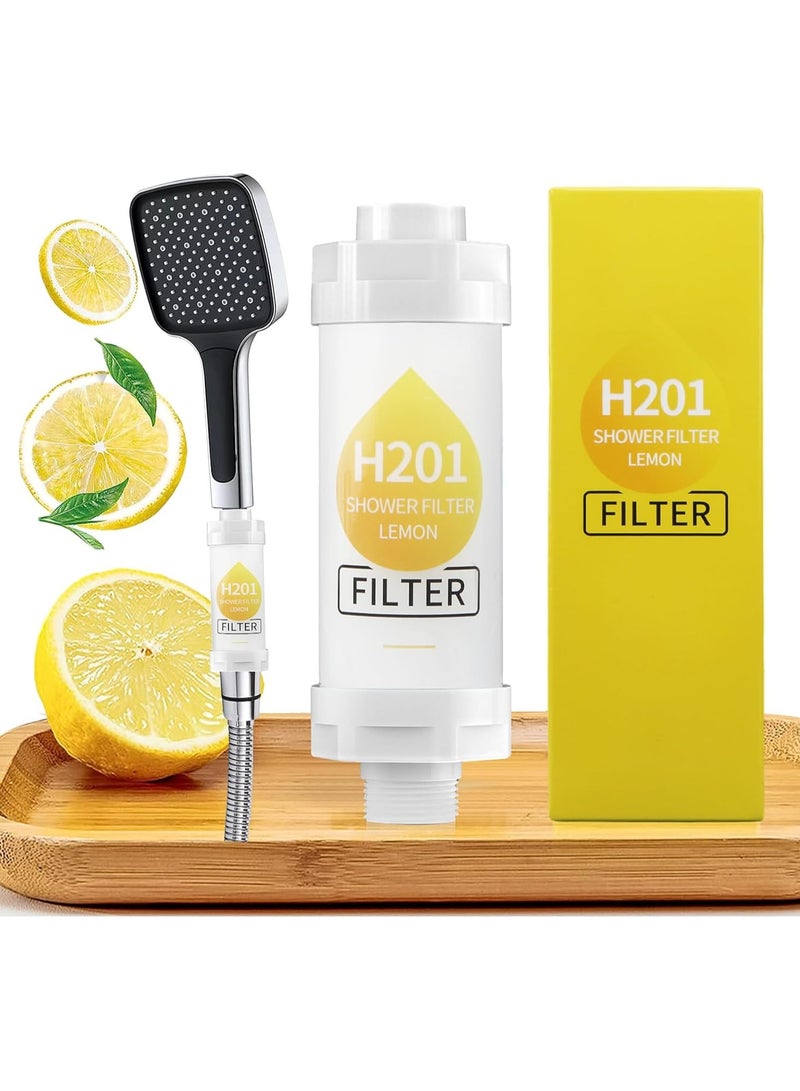 H201 فلتر رأس الدش - موزع دش فيتامين C، منعم مياه صلبة، فلتر دش للكلور والفلورايد، رأس دش مفلتر لتنقية المياه مع كرات، يقلل من تساقط الشعر وجفاف البشرة مثالي للمياه الصلبة - Image 1