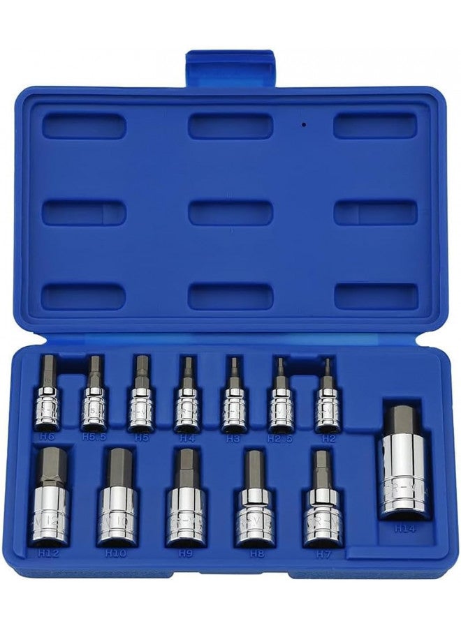 Neiko NEIKO 10074A Metric Hex Bit Socket Set | 13-Piece Set | S2 and Cr-V Steel | 1/4-Inch, 3/8-Inch and 1/2-Inch Drive | 2mm to 14mm  - Image 1