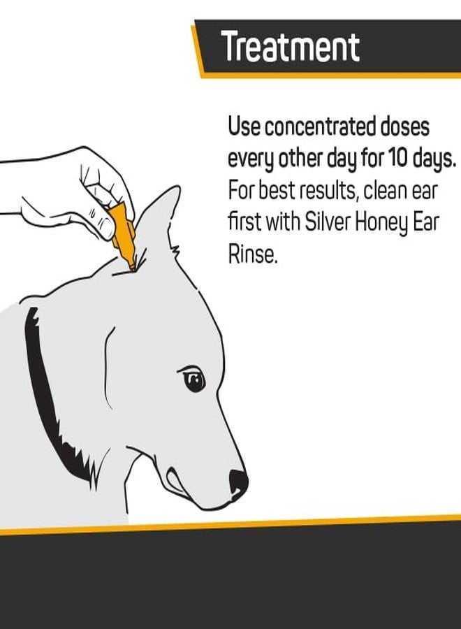 Absorbine Silver Honey Rapid Ear Care Vet Strength Concentrated Doses, 5 Ear Drops for 10 Days on 1 Ear for Dogs & Cats, Medical Grade Manuka Honey & MicroSilver BG - Image 2