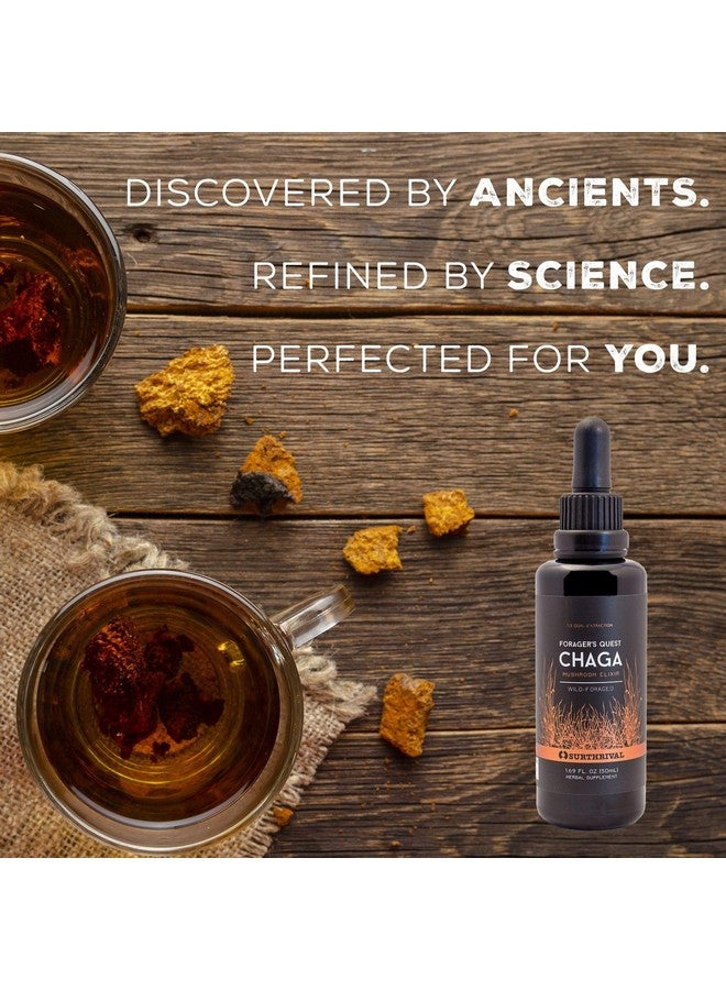 Surthrival: Chaga Mushroom Extract Forager's Quest, 50 mL, Featuring Nature’s Immune-Boosting, Anti-Viral, Anti-Fungal Medicinal Mushroom - Image 2