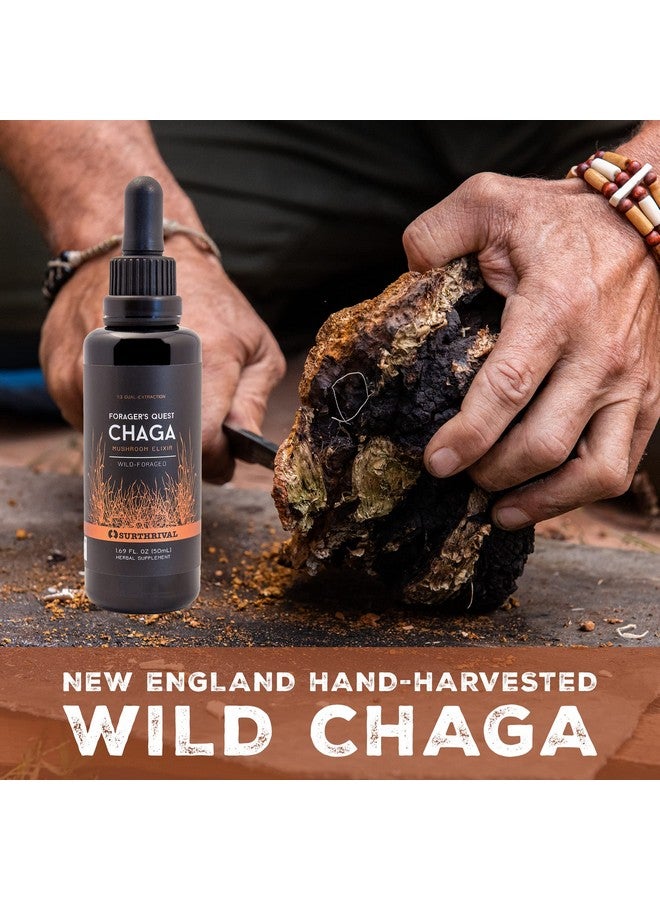 Surthrival: Chaga Mushroom Extract Forager's Quest, 50 mL, Featuring Nature’s Immune-Boosting, Anti-Viral, Anti-Fungal Medicinal Mushroom - Image 4
