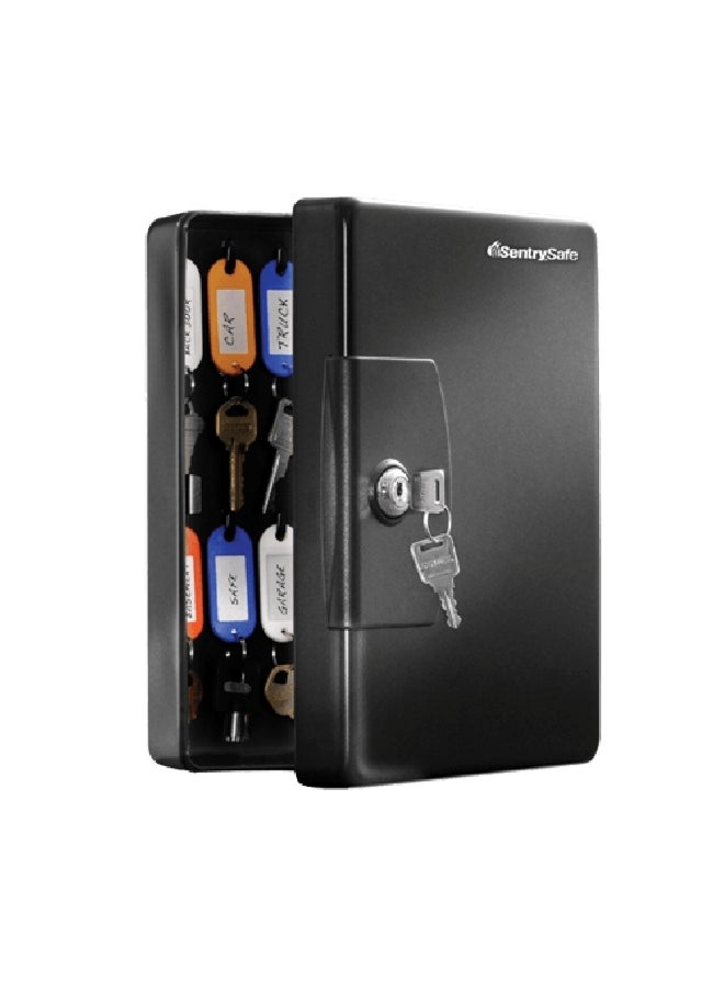 SentrySafe 25-Keys Solid Steel Key Cabinet with Tags and Label Black 1kg KB-25 
