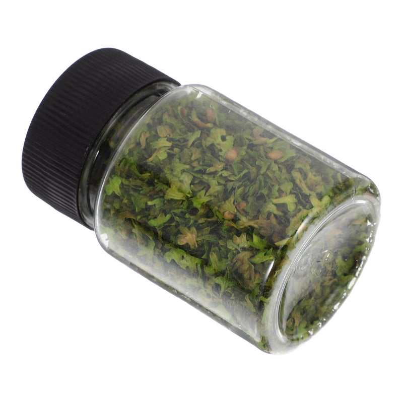 1 Bottle of Realistic Miniature Leaves Simulation Leaves for Scenery Landscape DIY Packing Style - Image 4