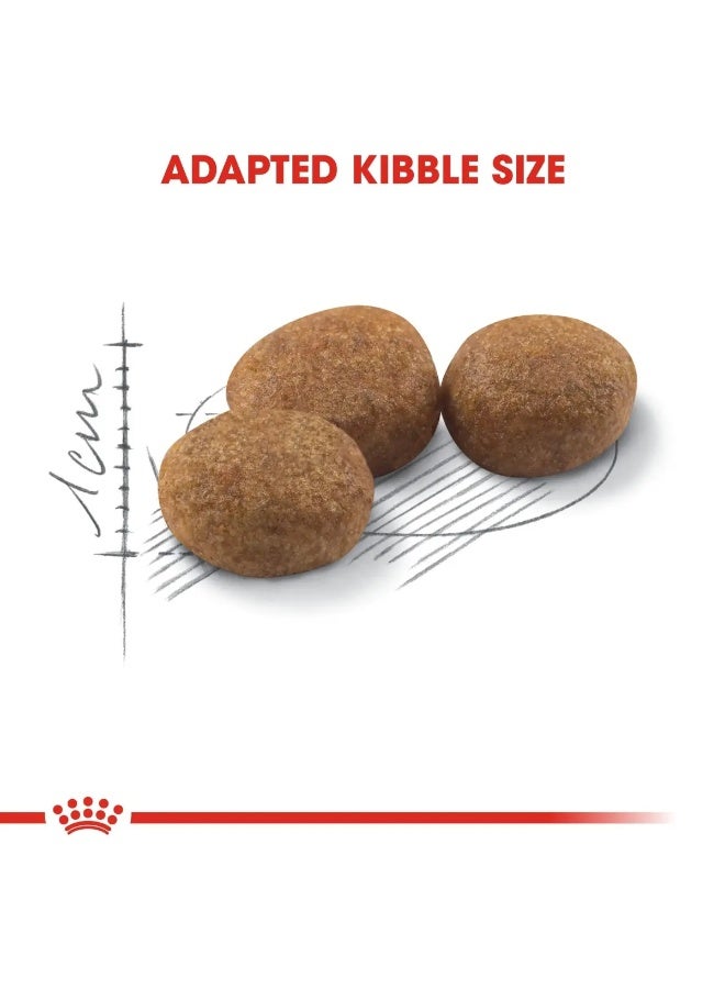 Royal Canin Feline Health Nutrition Sterilised 2 KG - Dry Cat Food - Image 2