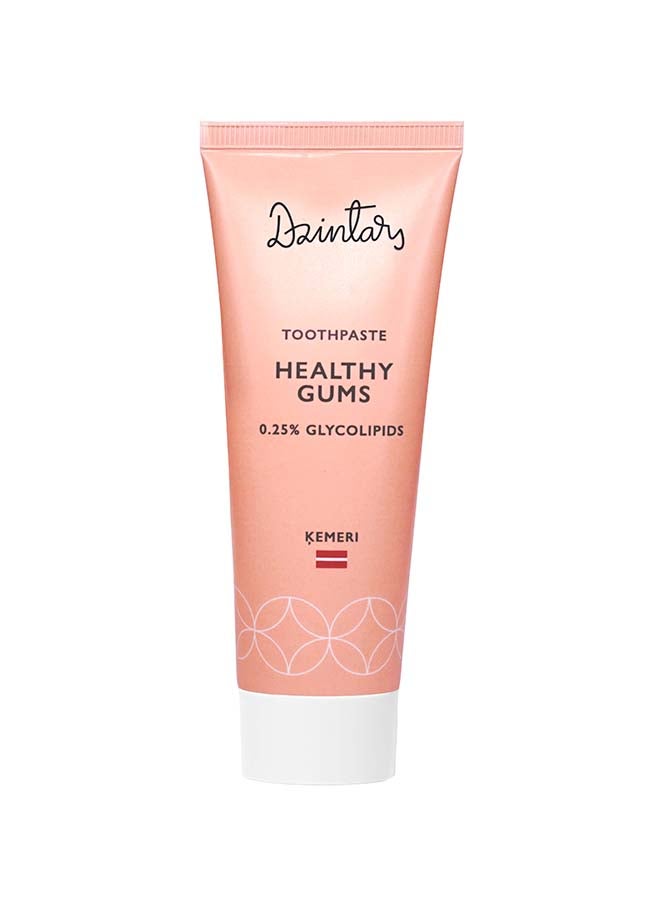 Dzintars Healthy Gums Toothpaste Ķemeri 75ml - Image 1