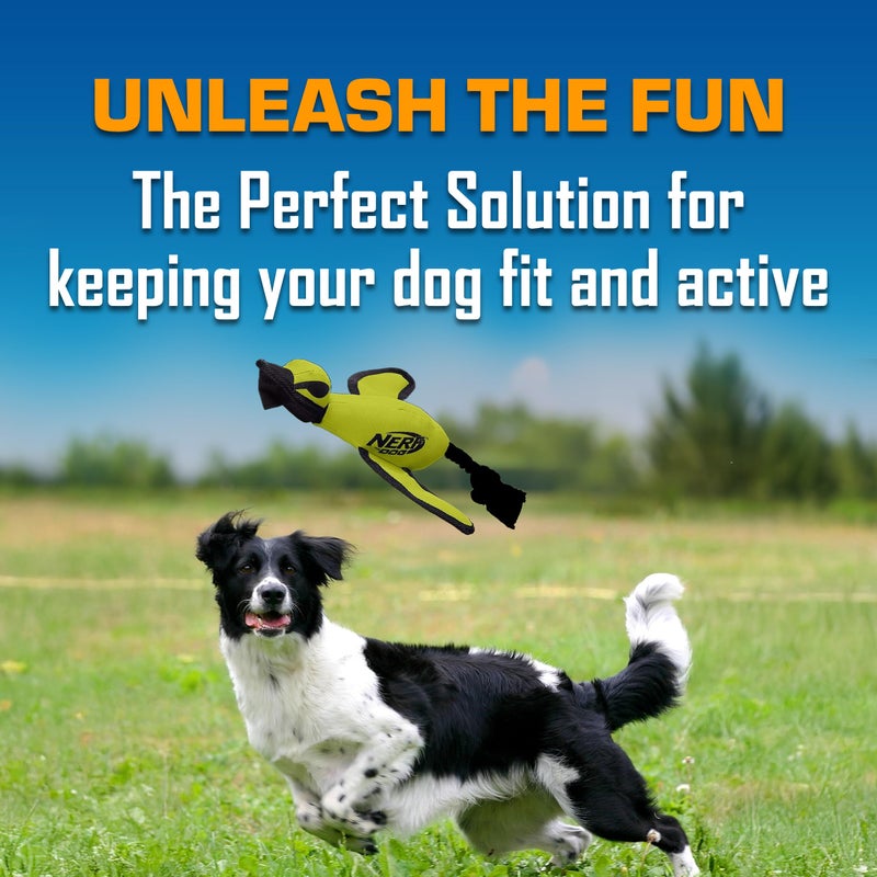 Nerf Dog Trackshot Launching Duck Dog Toy, 16.5 Dog Fetch Toy for Medium and Large Breeds, Green - Image 3