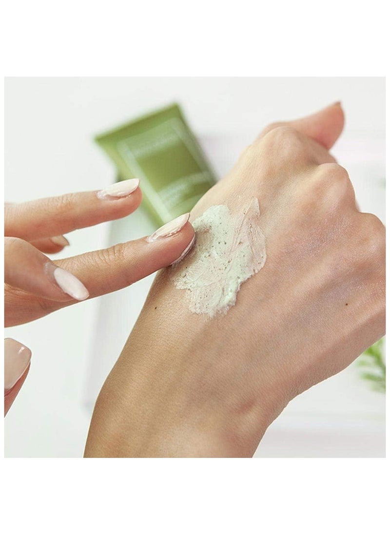 BONAJOUR - Mugwort cream calming mask - Image 1