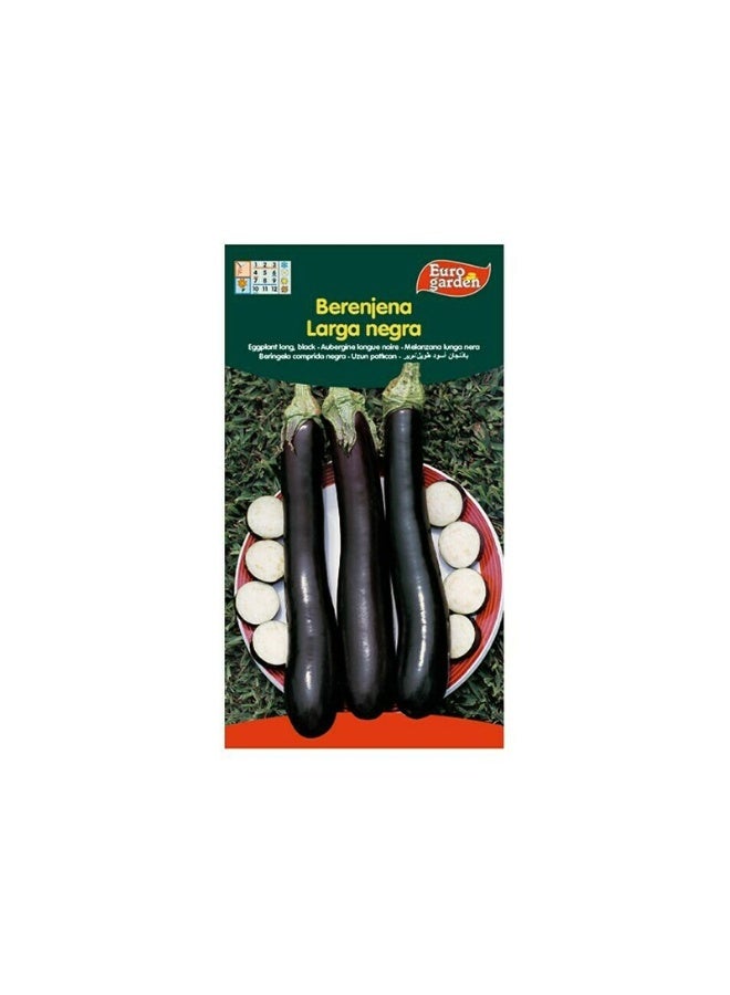 Euro Garden Berenjena Larga Negra - Long Black Eggplant Seeds