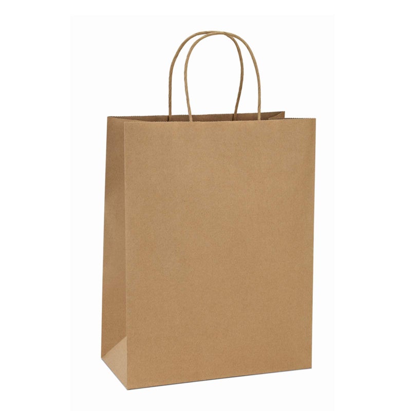 BagDream 10x5x13 Kraft Shopping Bags 100Pcs Brown Paper Bags with Handles Bulk for Gifts Merchandise Retail Party Favor Takeout Grocery Recycled Paper Gift Sacks