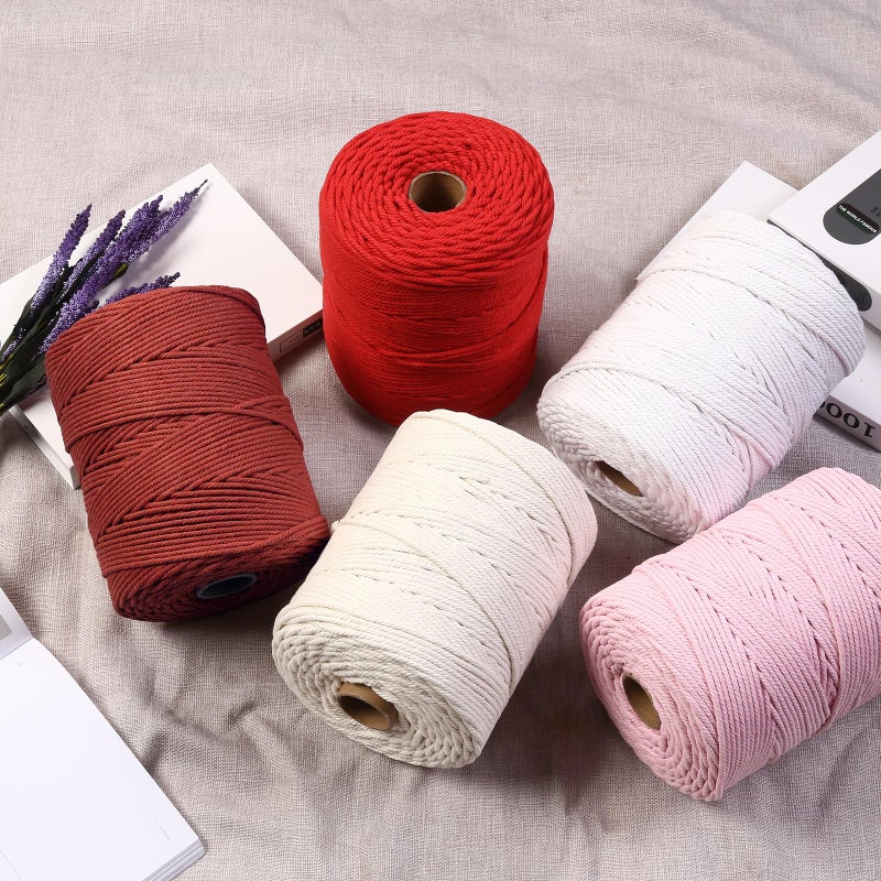 Aelfon Macrame Cord 4mm x 328yards, Soft Colored Macrame Rope, Natural Cotton Cord for Plant Hangers, Wall Hanger, Decorative Projects - Image 2