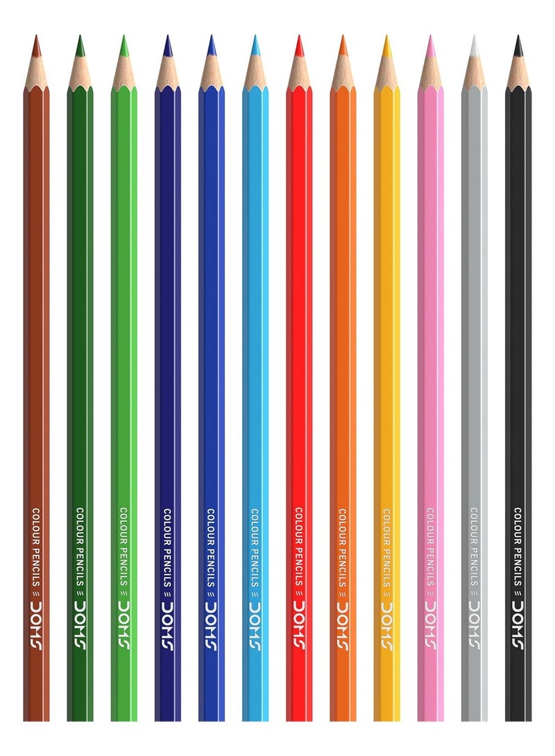 DOMS Colour Pencils 12 Shades + 1 Silver Shade | Super Soft | Premium Quality | Art Colour Pencil Set - Image 3