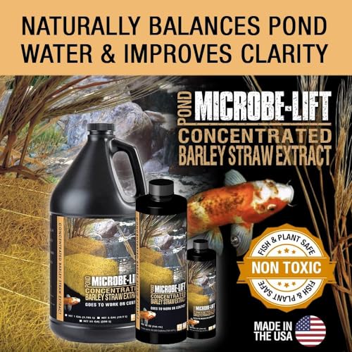 Microbe Lift MICROBE-LIFT MLCBSE2L Concentrated Barley Straw Extract Conditioner for Ponds and Outdoor Water Garden, Safe for Live Koi Fish, Plants, and Decorations, 64 Ounces - Image 2