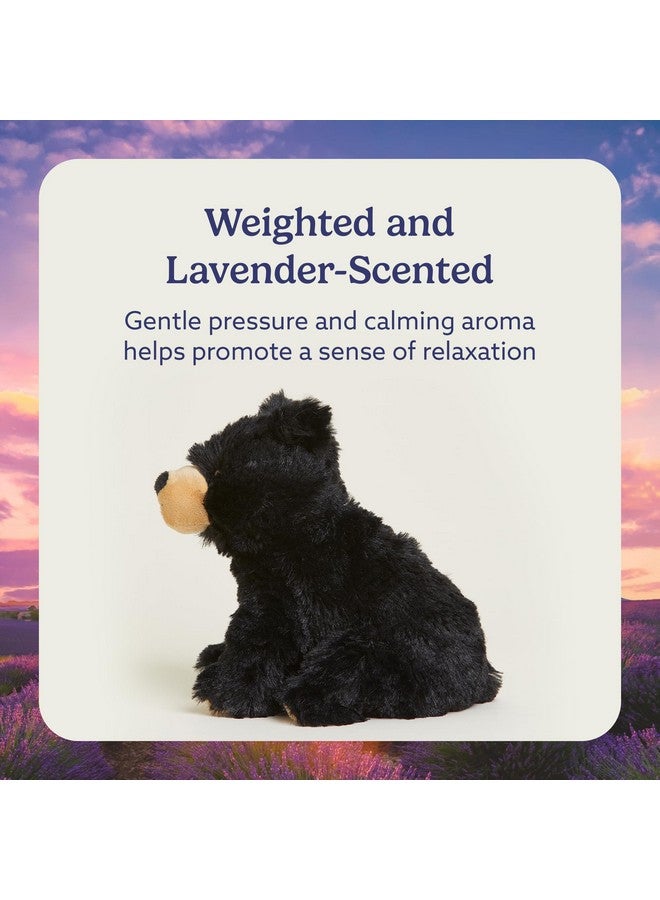 warmies Junior Microwavable & Weighted Stuffed Animals, Black Bear - Heated Stuffed Animal Plushie for Warmth & Comfort - Cute Soft Plush Toys for Adults & Children (Boys, Girls, Babies & Toddlers) - Image 3