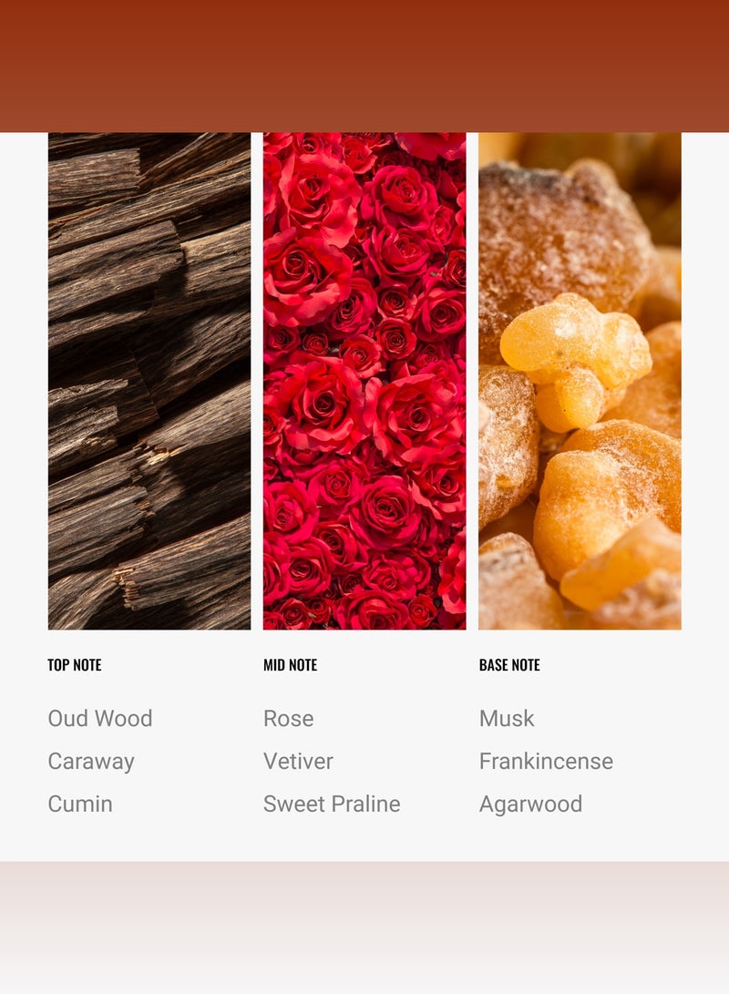 Hotel Collection Desert Rose Pro-Pod Oil Blend - Hotel Inspired for Luxury Essential Oil Diffusers - Aromatherapy Scent Diffuser Oil - Oud Wood, Rose, Musk  - Image 4