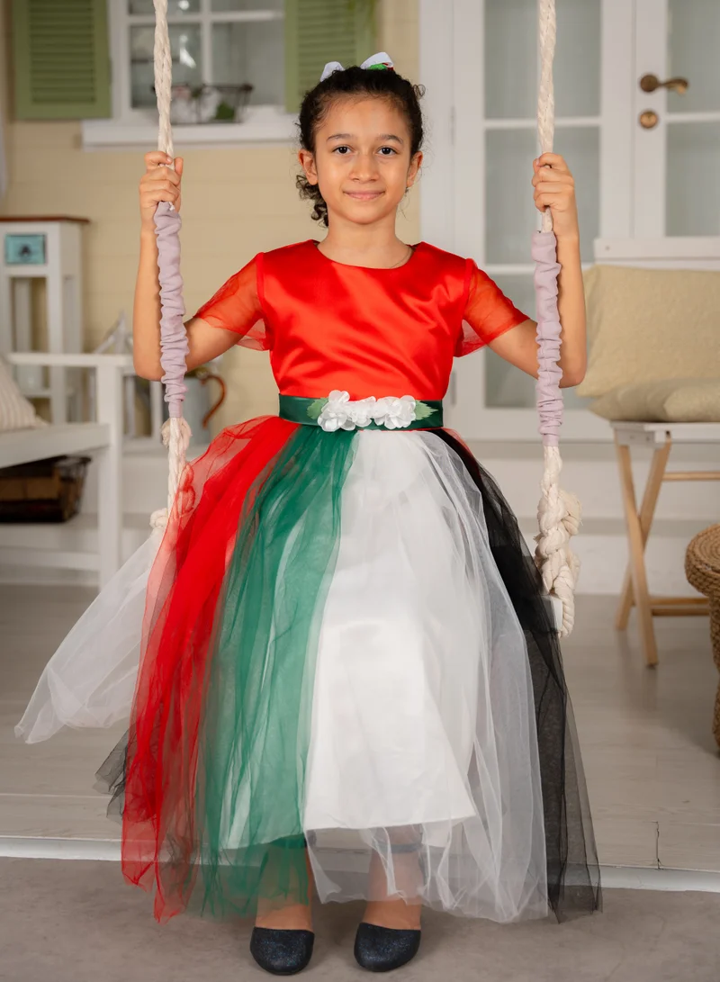 D'Daniela Festive Tulle Dress
