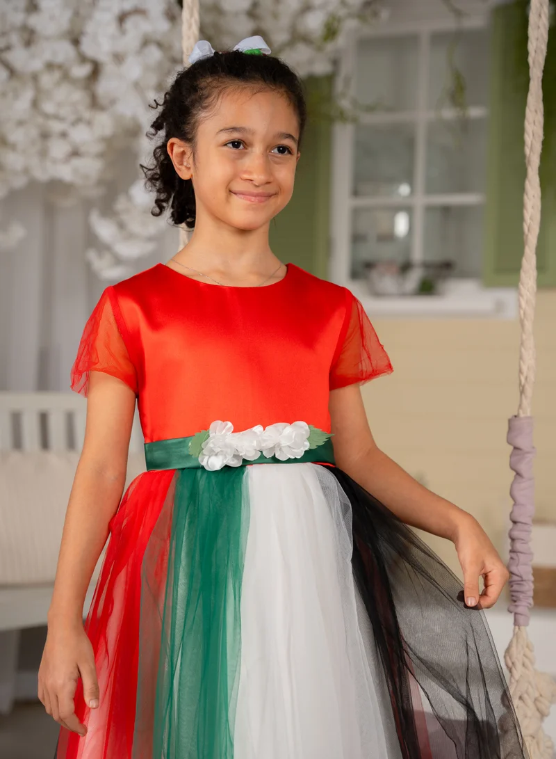 D'Daniela Festive Tulle Dress