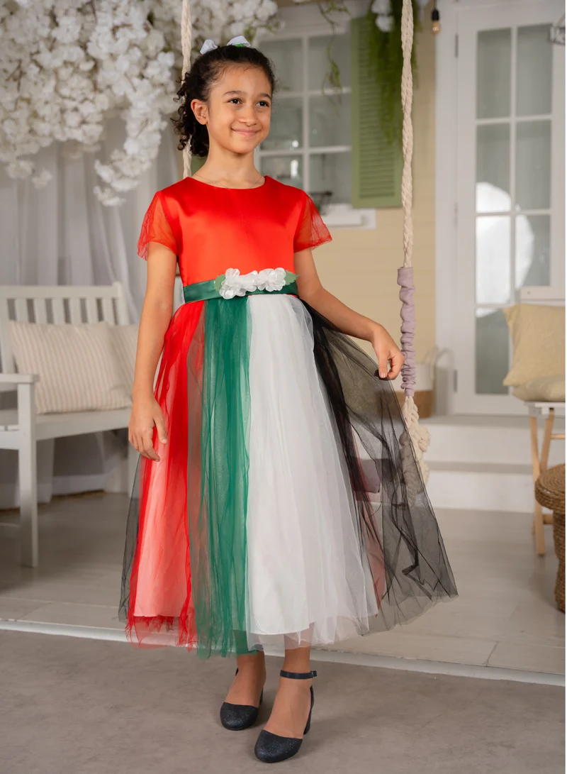 D'Daniela Festive Tulle Dress