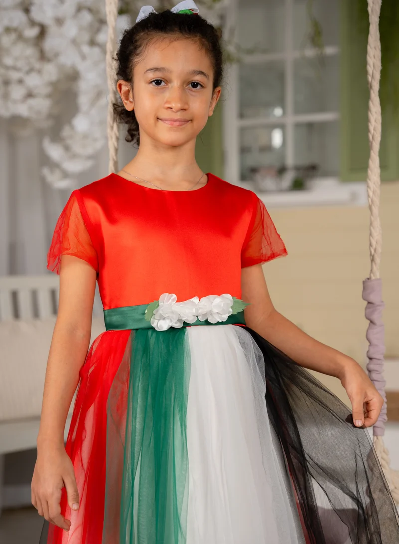D'Daniela Festive Tulle Dress