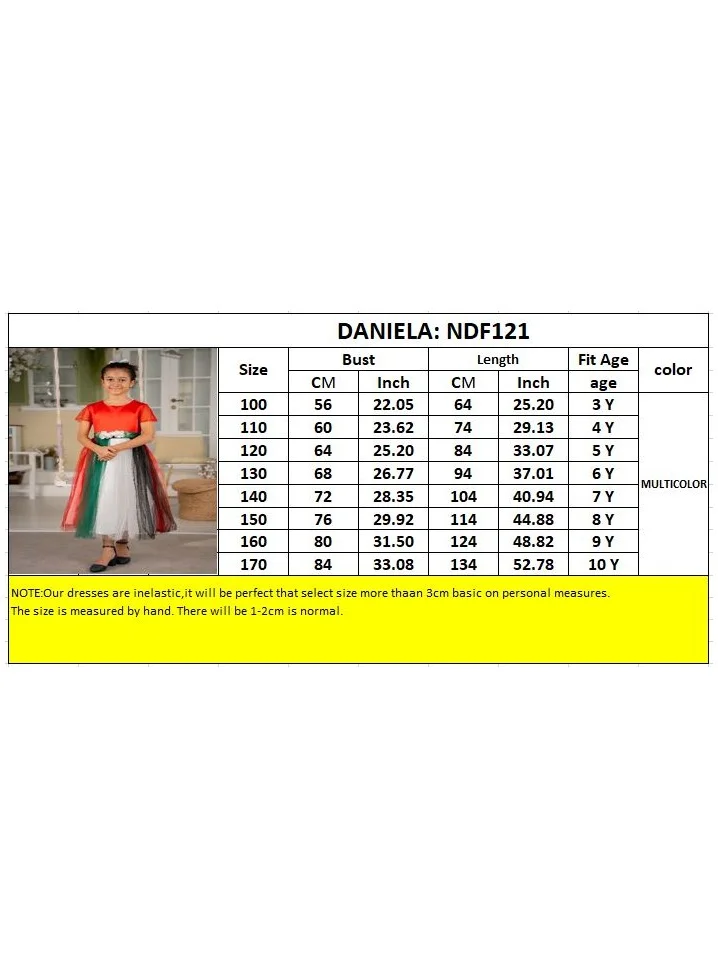 D'Daniela Festive Tulle Dress