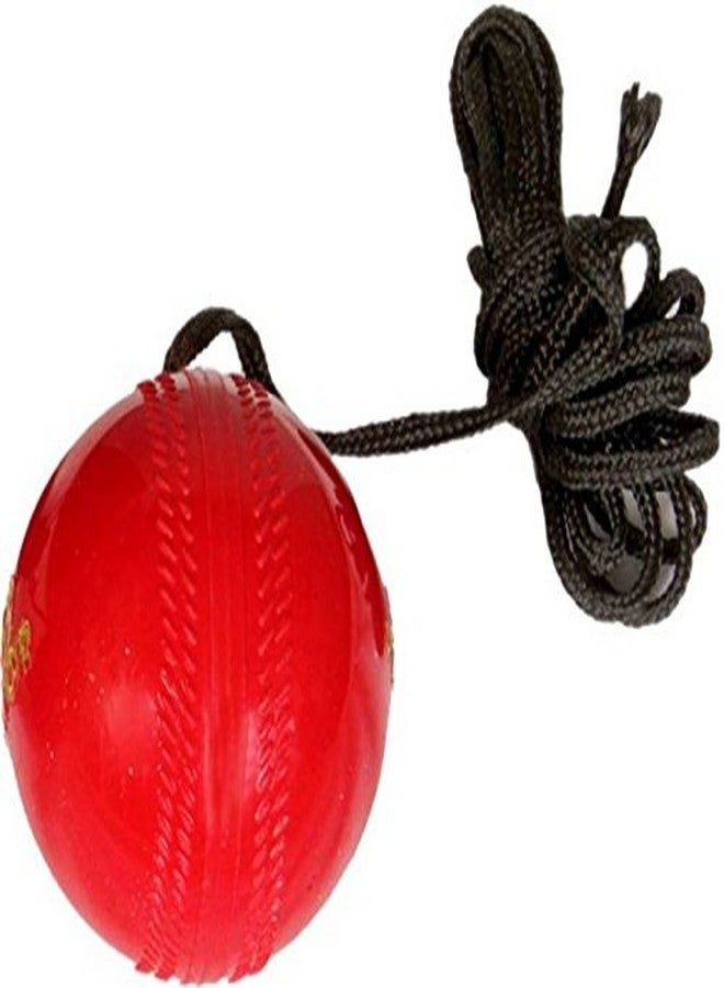 Tima- Hanging Ball Vibro2765 for Cricket Practice with Reaction String - Image 3