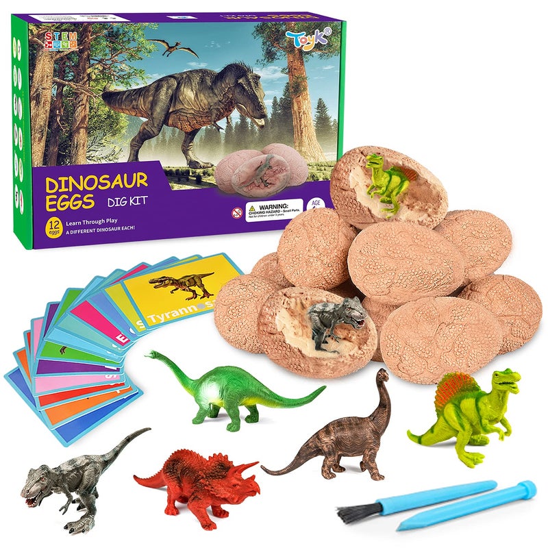 Toyk Dig Up Dinosaur Fossil Eggs, Break Open 12 Unique Eggs and Discover 12 Cute Dinosaurs, Easter Digging Toy for 3 4 5 6 7 8 9-12 Year Old Boys Archaeology Science STEM Gift - Image 1