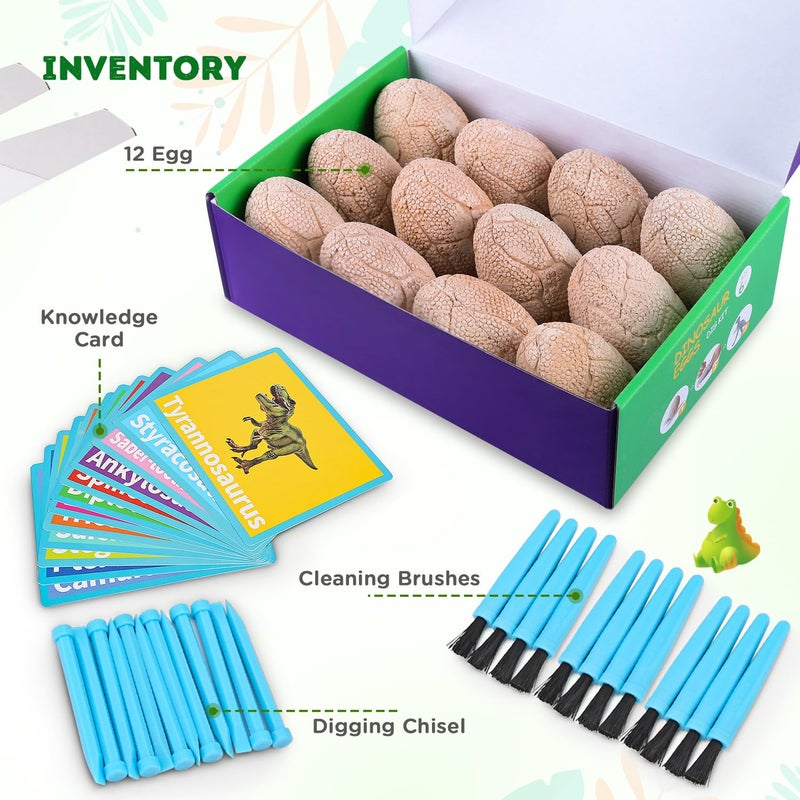 Toyk Dig Up Dinosaur Fossil Eggs, Break Open 12 Unique Eggs and Discover 12 Cute Dinosaurs, Easter Digging Toy for 3 4 5 6 7 8 9-12 Year Old Boys Archaeology Science STEM Gift - Image 2