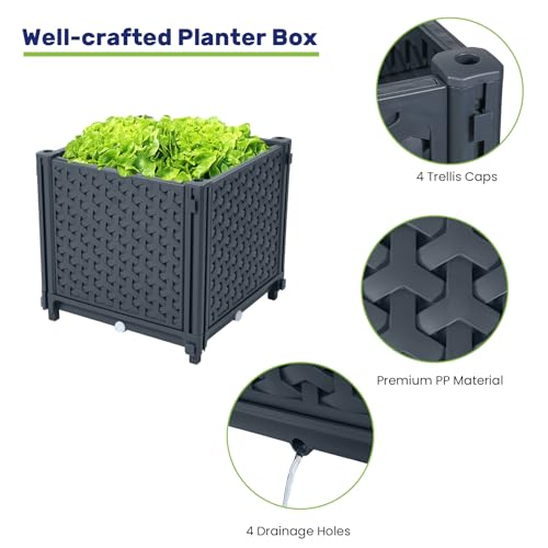 LINEX Raised Garden Bed Planter Box with Trellis, 41.3” Tomato Planters for Climbing Plants Vegetable Vine Flowers Outdoor Patio, Tomatoes Cage w/Self-Watering - Image 3