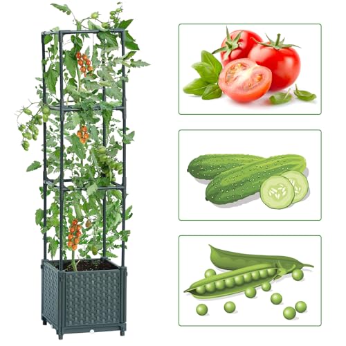 LINEX Raised Garden Bed Planter Box with Trellis, 41.3” Tomato Planters for Climbing Plants Vegetable Vine Flowers Outdoor Patio, Tomatoes Cage w/Self-Watering - Image 2