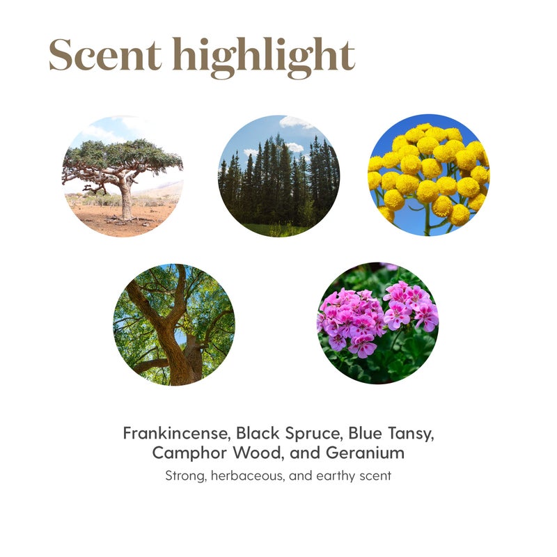 Young Living Valor Essential Oil - Empowering Blend with a Harmonious Blend of Black Spruce, Blue Tansy, Camphor Wood, Geranium, and Frankincense - 5ml Bottle for Courage and Confidence - Image 5