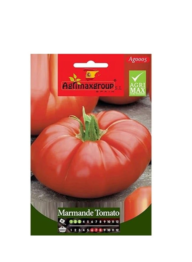 أجريماكس بذور طماطم مارماندي عالية الجودة من Agrimaxgroup® - Image 1