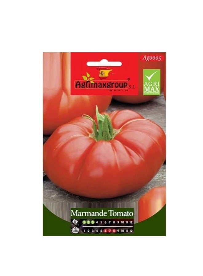 أجريماكس بذور طماطم مارماندي عالية الجودة من Agrimaxgroup® - Image 2
