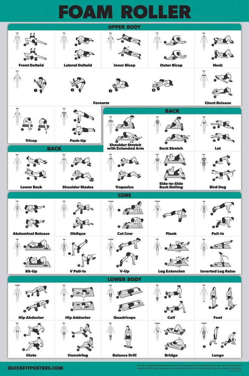 Palace Learning QuickFit Foam Roller Exercise Poster Stretching and Workout Routine for Foam Roller Laminated 18 x 27
