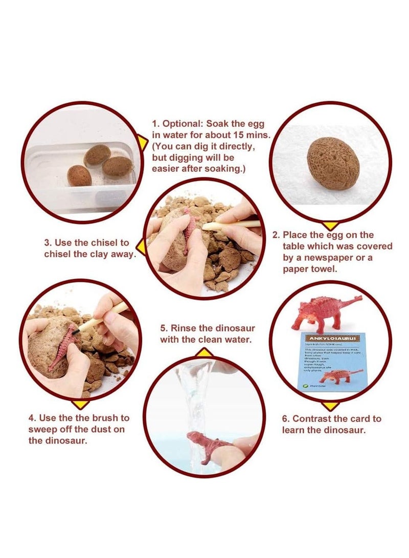 RATSAW Dinosaur Eggs Dig Kit 12 Pack Discover 12 Different Dinos Archaeology and Paleontology Toy Dino Egg Excavation Kit STEM Toys for Boys Girls Kids Gift - Image 5