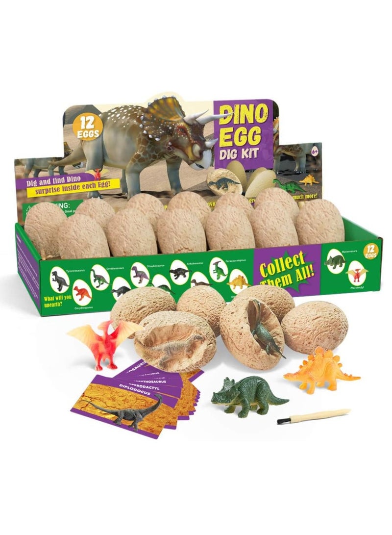 RATSAW Dinosaur Eggs Dig Kit 12 Pack Discover 12 Different Dinos Archaeology and Paleontology Toy Dino Egg Excavation Kit STEM Toys for Boys Girls Kids Gift - Image 2