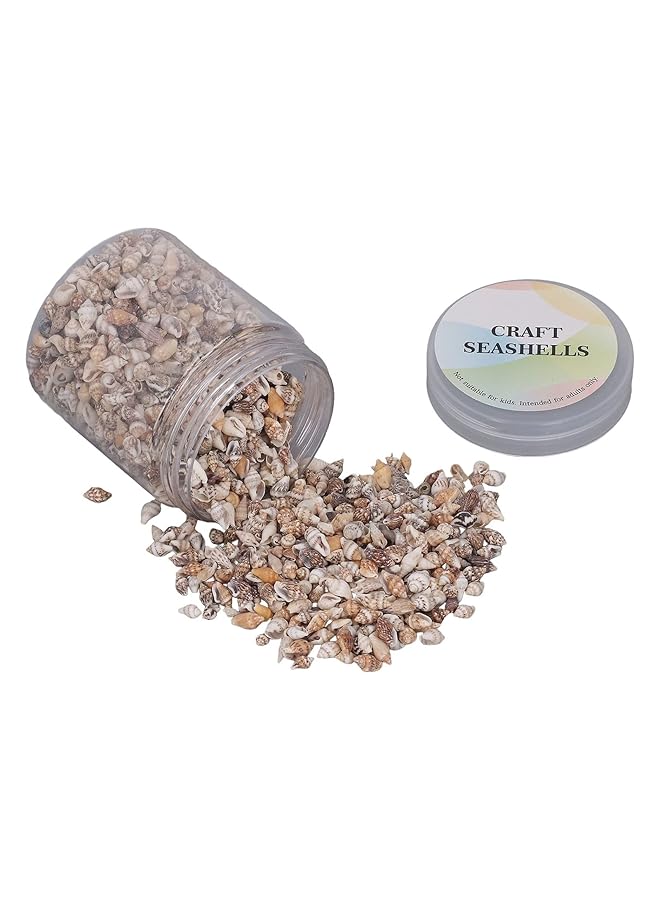 erorex Sea Shells 1 Can Mixed Tiny Sea Shells Small Beach Spiral Seashells Multipurpose Ocean Beach Seashells For Beach Theme Party Candle Making Diy Crafts Fish Tank And Vase - Image 1