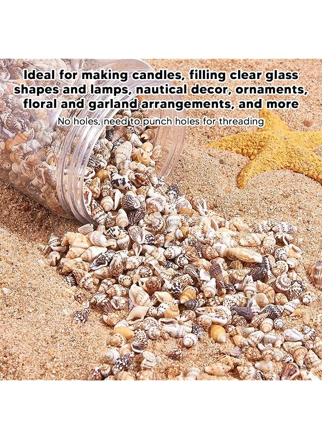 erorex Sea Shells 1 Can Mixed Tiny Sea Shells Small Beach Spiral Seashells Multipurpose Ocean Beach Seashells For Beach Theme Party Candle Making Diy Crafts Fish Tank And Vase - Image 5