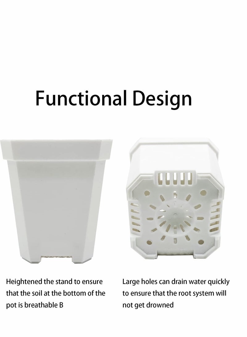 SYOSI 10 قطع أصص نباتات صغيرة مع غطاء رطوبة - وعاء زراعة بلاستيكي - حاوية نباتات لزراعة البذور مع ثقوب تصريف لشتلات / خضروات / نباتات عصارية / قصاصات - Image 3