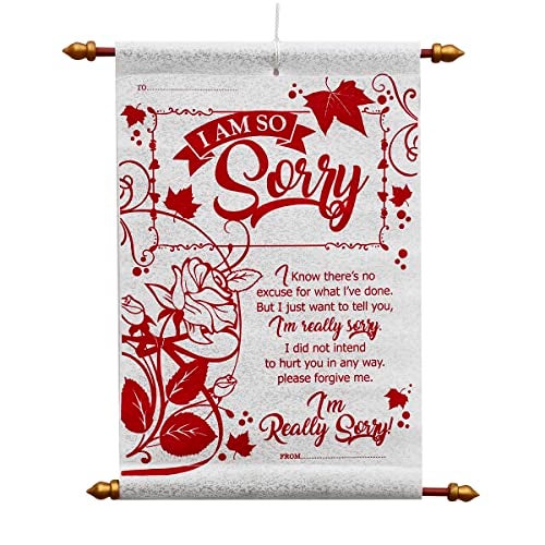 Saugat Traders Sorry Message Scroll Card - Apology Gift For Girlfriend-Wife-Friend-Girls-Boys-Husband - Red & White 30 CM - Image 1