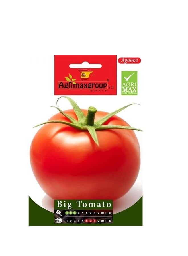 أجريماكس بذور طماطم كبيرة عالية الجودة من Agrimaxgroup® - Image 2